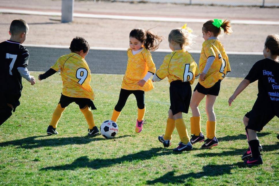 Young children playing soccer together on a sunny grass field.